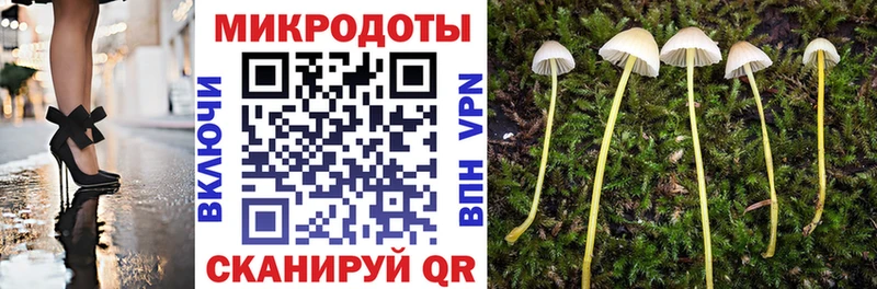 даркнет какой сайт Нижние Серги Псилоцибиновые грибы прущие грибы